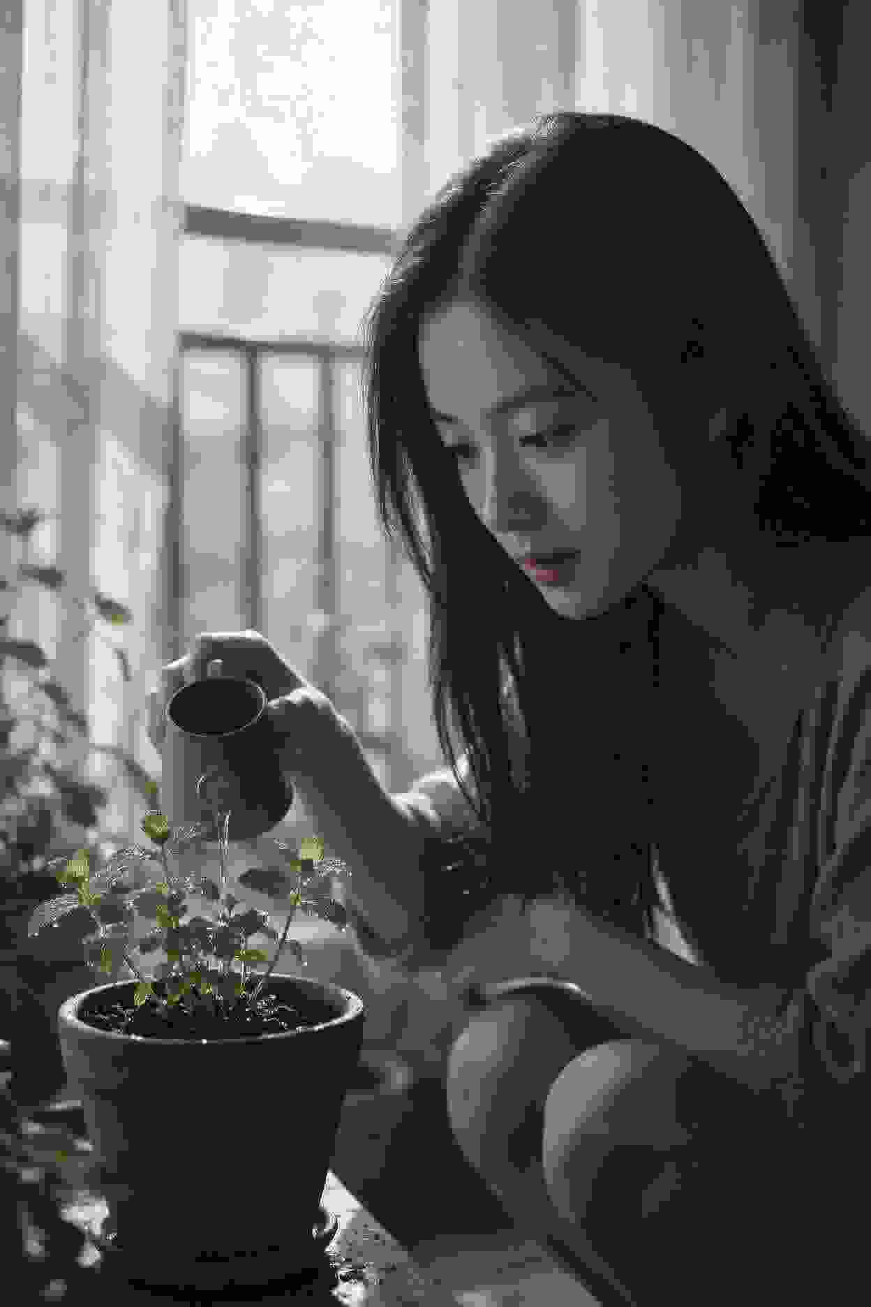 苗家土鸡汤